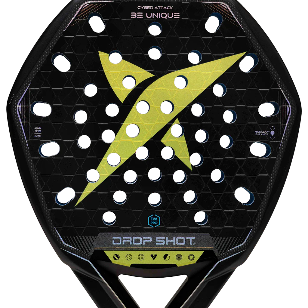Pala Drop Shot Cyber Attack 2026