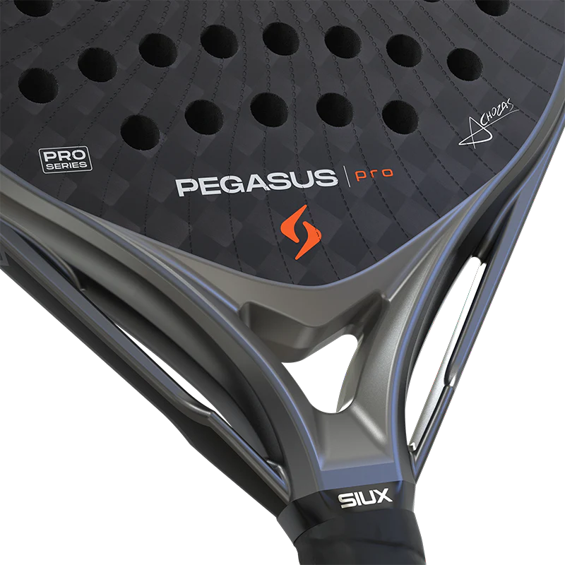 Pala Siux Pegasus Pro 2026 Storm Grey Alex Chozas